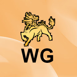 WG體育